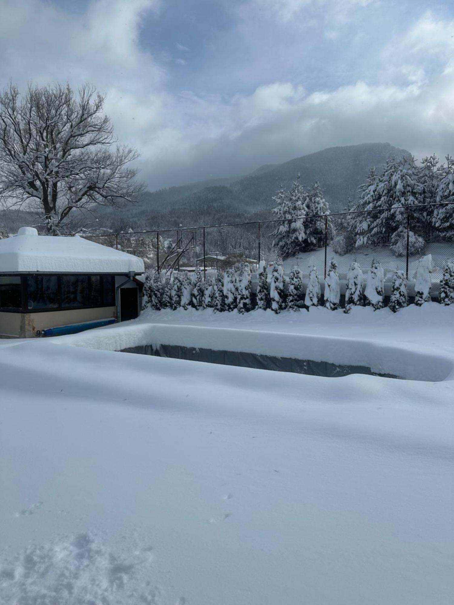 Villa Paradise Beli Iskar Zewnętrze zdjęcie