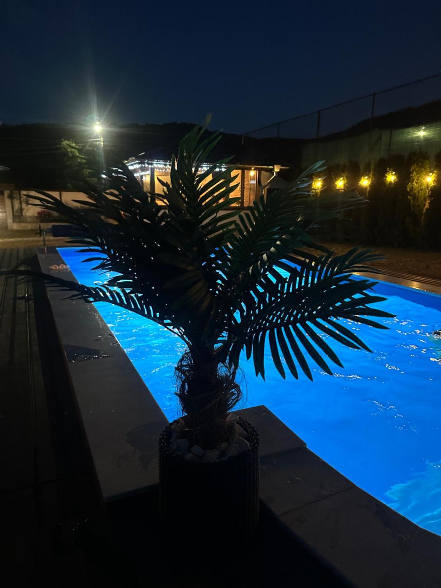 Villa Paradise Beli Iskar Zewnętrze zdjęcie