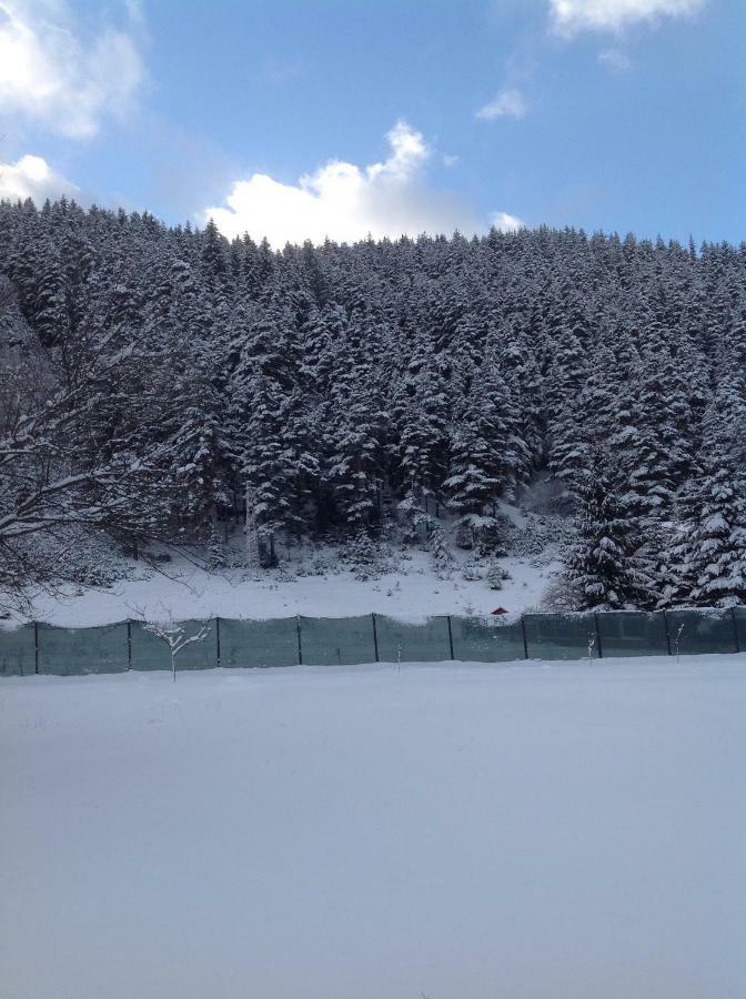Villa Paradise Beli Iskar Zewnętrze zdjęcie
