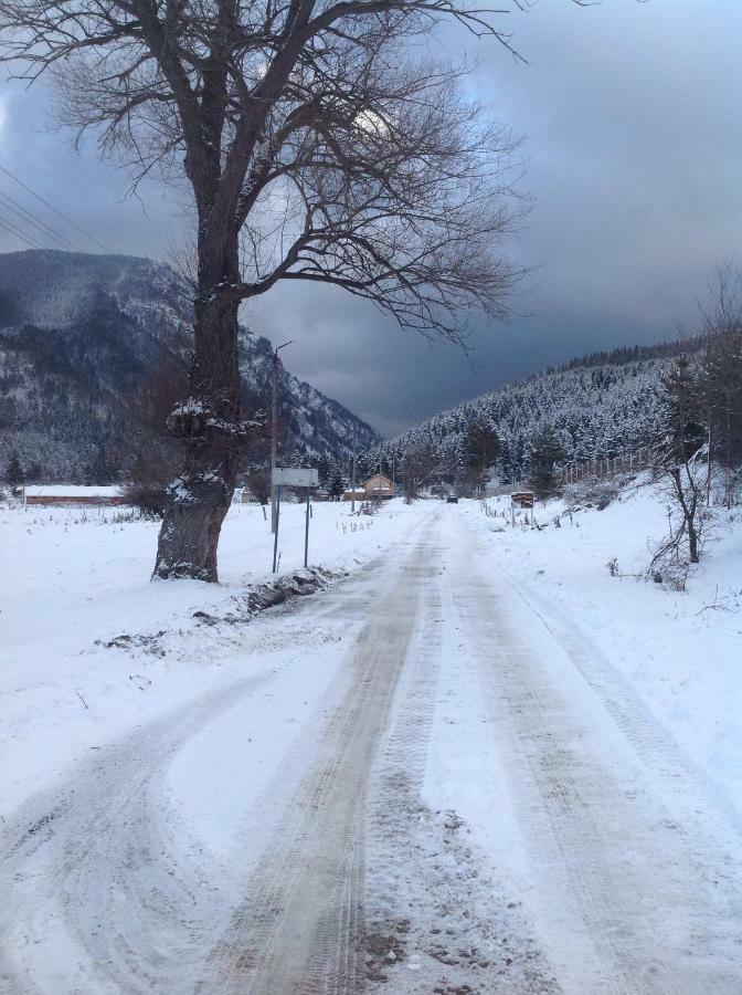 Villa Paradise Beli Iskar Zewnętrze zdjęcie